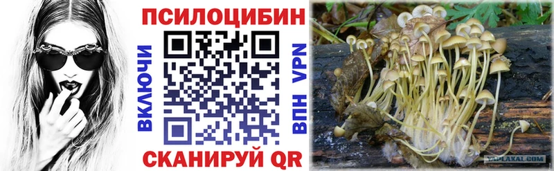Псилоцибиновые грибы GOLDEN TEACHER  Полтавская 